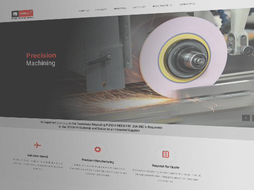 Punch website